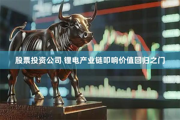 股票投资公司 锂电产业链叩响价值回归之门